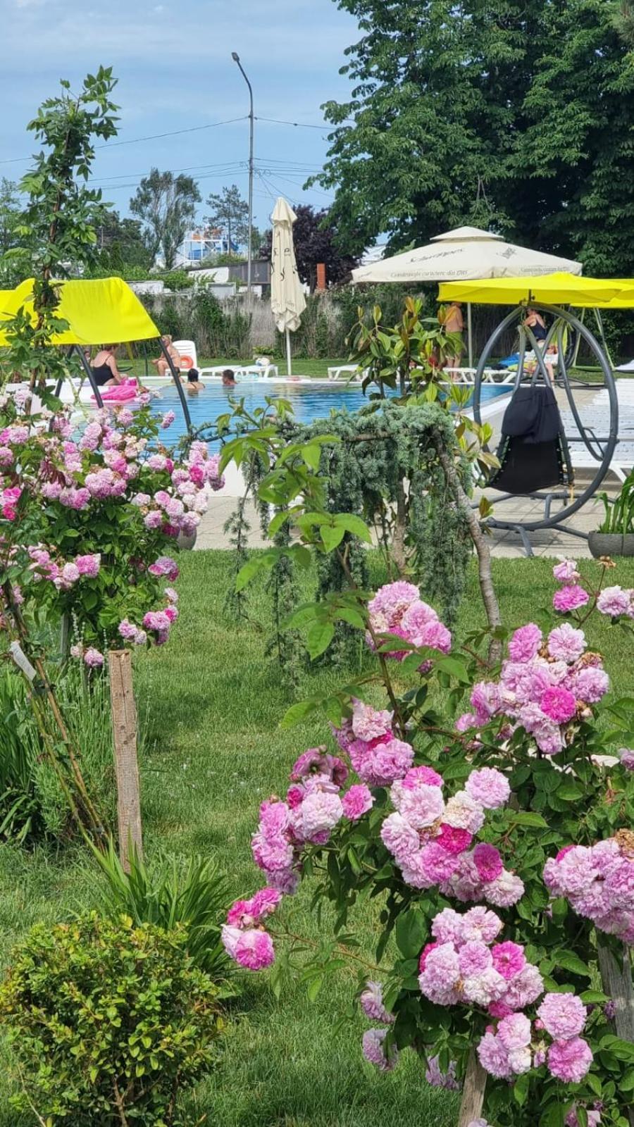 Hotel Iulia Resort Venus Kültér fotó