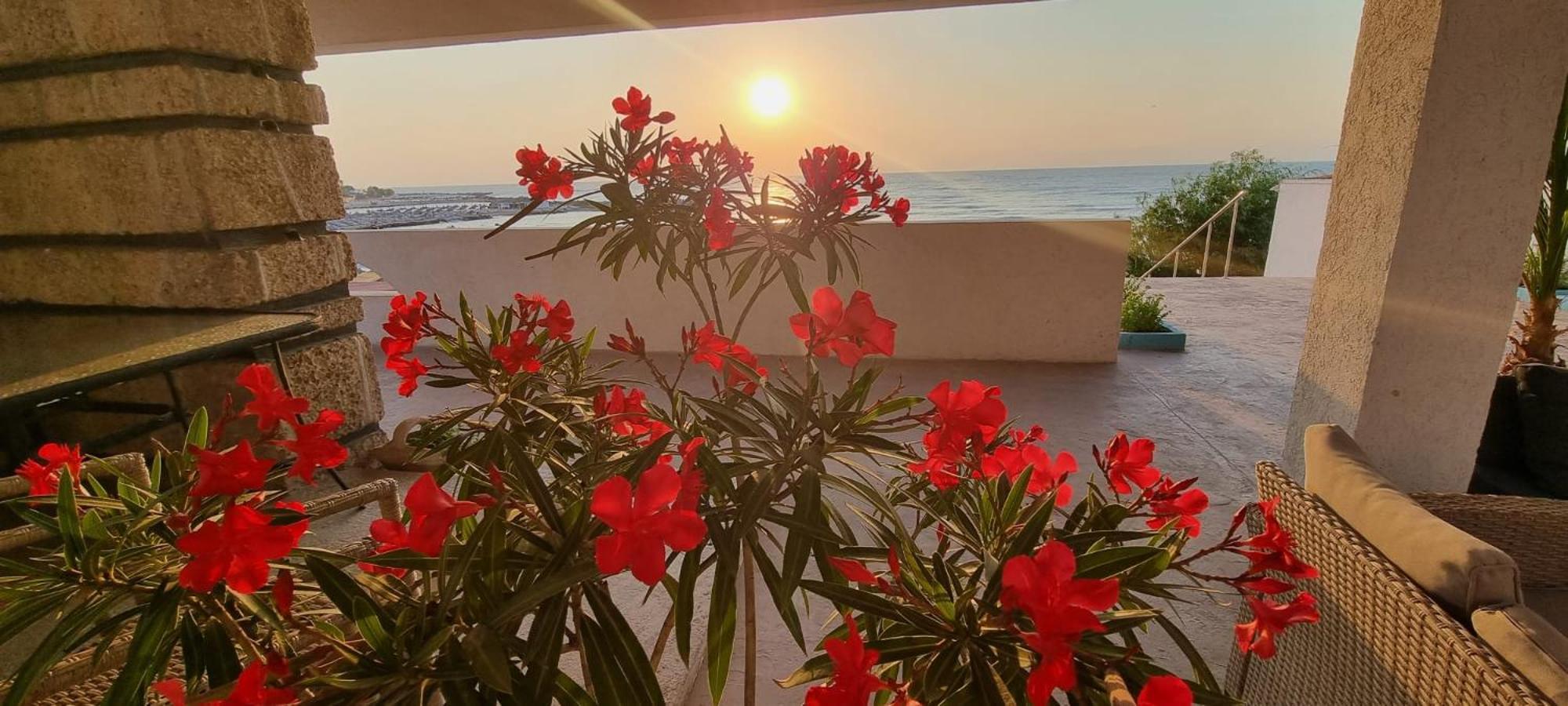 Hotel Iulia Resort Venus Kültér fotó