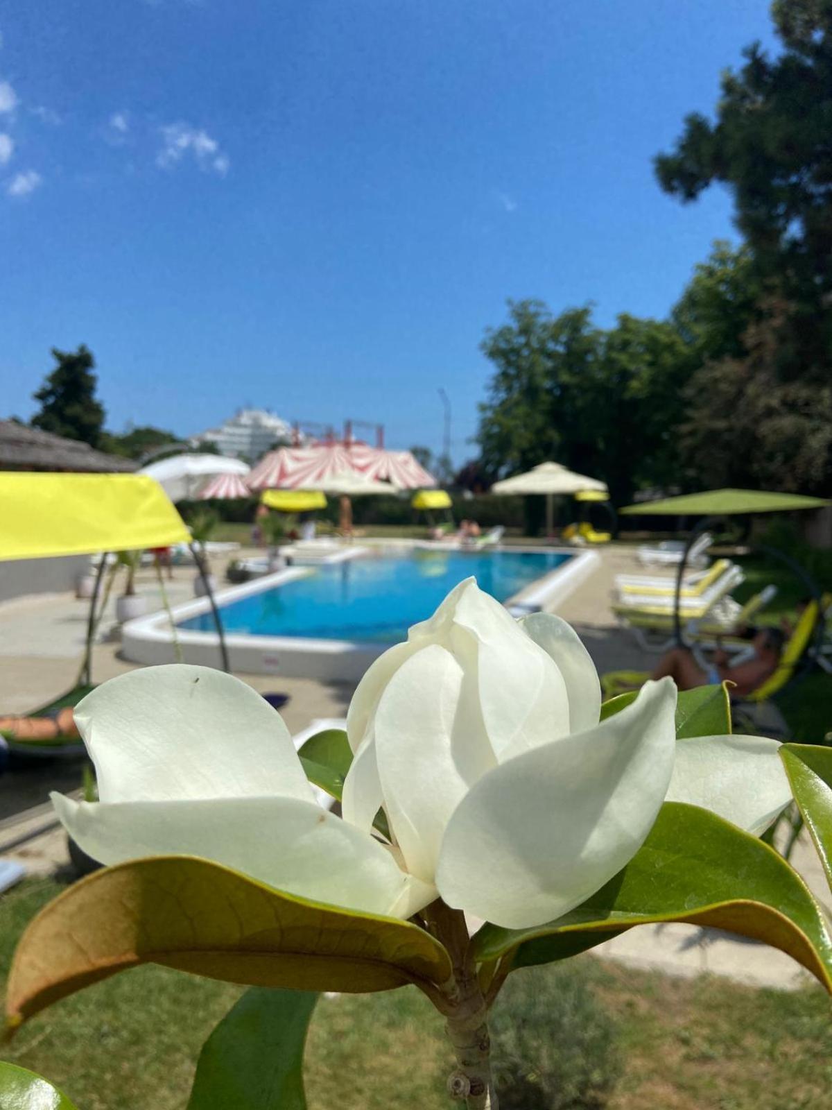 Hotel Iulia Resort Venus Kültér fotó